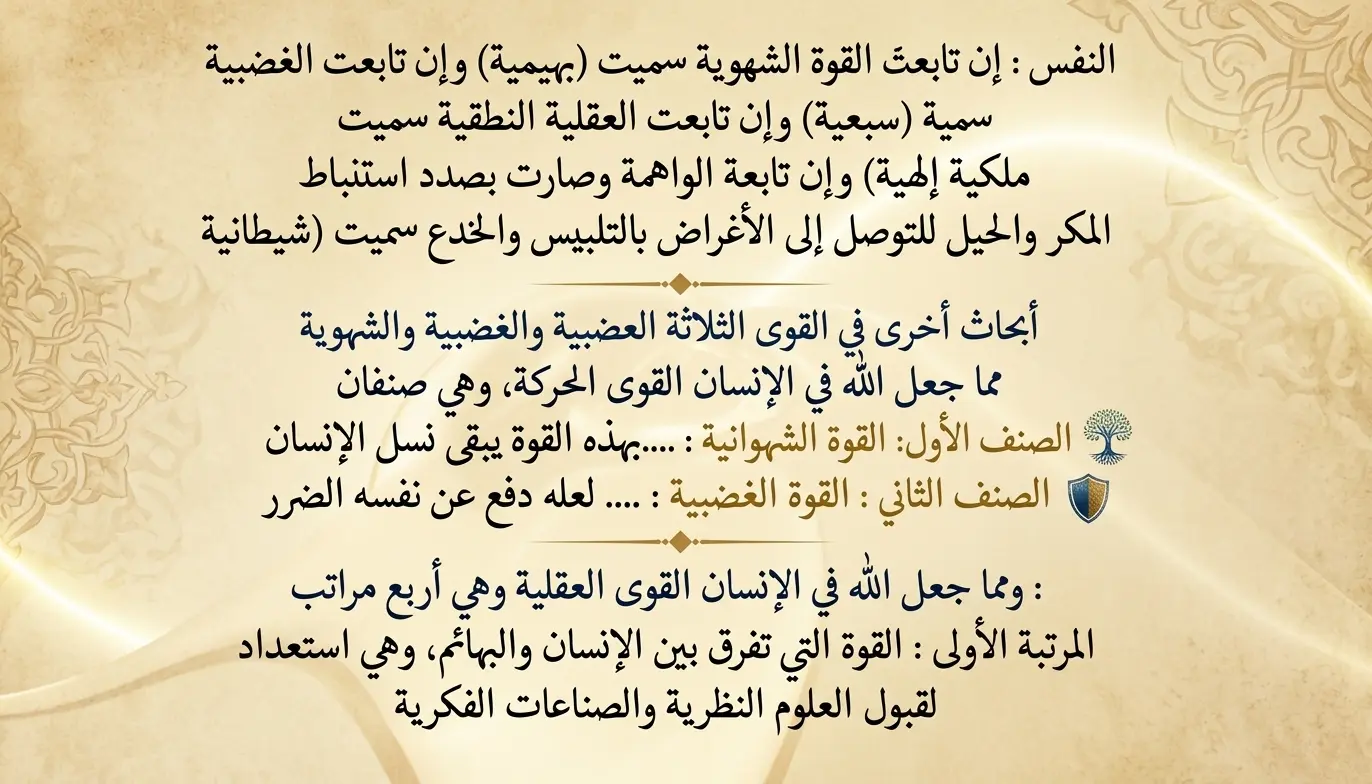 البطاقة الثالثة والثلاثون - الناحية النفسية وطبائع النفس