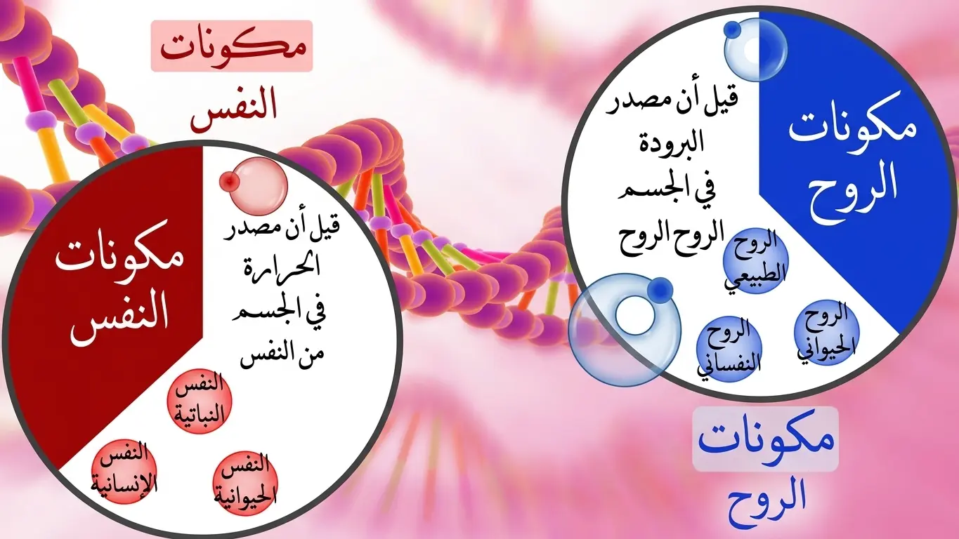 البطاقة السادسة - مكونات النفس والروح